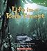 Life in a Kelp Forest (Undersea Encounters)