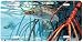 Snook in the Mangroves Art Print - License Plate Tag By Don Ray From Airstrike