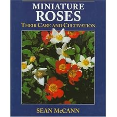 Miniature Roses: Their Care and Cultivation