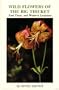 Wild Flowers of the Big Thicket, East Texas, and Western Louisiana (W. L. Moody, Jr., Natural History (Paperback))