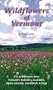 Wildflowers of Vermont