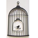 �yDI CLASSE�zBird�@Mobile���������r�[�� /MO2050�u���b�N