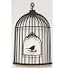 �yDI CLASSE�zBird�@Mobile���������r�[�� /MO2050�u���b�N