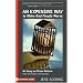 An Expensive Way to Make Bad People Worse: An Essay on Prison Reform from an Insider's Perspective (Flashpoint)