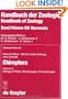Handbook of Zoology: Mammalia; Part 61, Vol 2 - the Flight of Bats Vol VIII: A Natural History of the Phyla of the Animal Kingdom (German and English Edition)