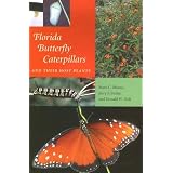 Florida Butterfly Caterpillars and Their Host Plants