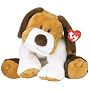 WHIFFER - dog