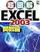 超図解 Excel2003 関数編 (超図解シリーズ)