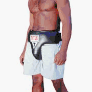 Title Boxing Deluxe Groin Protector Plus