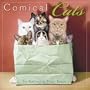 Comical Cats 2009 Wall Calendar (Calendar)