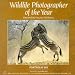 Wildlife Photographer of the Year: Portfolio 6 (Portfolio Six)