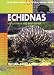 Echidnas of Australia and New Guinea
