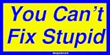 You Cant Fix Stupid Bumper Sticker