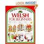 Welsh for Beginners (Usborne Language for Beginners)