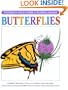Field Guide to Butterflies (Peterson Field Guide Coloring Books)