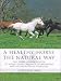 A Healthy Horse the Natural Way: A Horse Owner's Guide to Using Herbs, Massage, Homeotherapy, and Other Natural Therapies