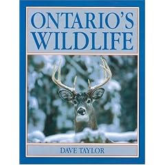 Ontario's Wildlife