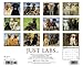 Just Labs 2015 Wall Calendar