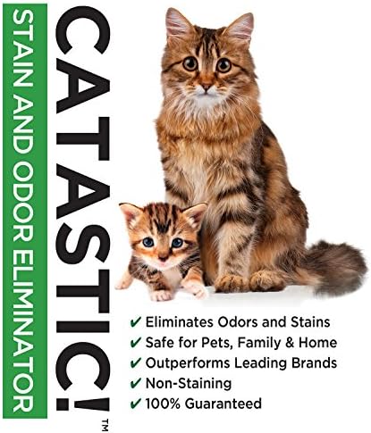 Catastic Stain And Odor Eliminator - Best-Selling Professional Strength Formula Permanently Eliminates Odors and Stains From Carpet, Upholstery, and Other Surfaces GUARANTEED