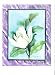 White Magnolia China Painting Porcelain Art Study