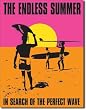 Endless Summer - Poster Metal Tin Sign 12.5"W x 16"H