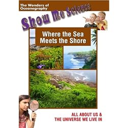 Where the Sea Meets the Shore