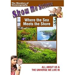 Where the Sea Meets the Shore