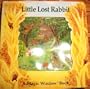 Little Lost Rabbit (Magic Window)