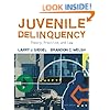 Juvenile Delinquency: Theory, Practice, and Law
