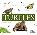 Turtles (Pet Care for Kids)