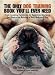 The Only Dog Training Book You'll Ever Need: From Avoiding Accidents to Banishing Barking, the Basics for Raising a Well-Behaved Dog [ONLY DOG TRAINING BK YOULL -OS]