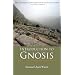 Introduction to Gnosis: Practical Steps to Awaken the Consciousness (Timeless Gnostic Wisdom)