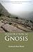 Book Introduction to Gnosis: Practical Steps to Awaken the Consciousness