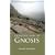 Introduction to Gnosis: Practical Steps to Awaken the Consciousness (Timeless Gnostic Wisdom)