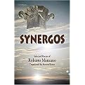 Synergos (Bilingual) (Paperback)