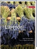 Lavendel: Der Duft des S�dens