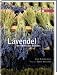 Bücher : Lavendel: Der Duft des Südens