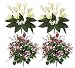 Four Artificial Flower Bushes - Two 19" Calla Lilies + Two 21" Ranunculus, Cosmos Mixed Bushes
