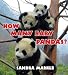 How Many Baby Pandas? (Hardcover) by Sandra Markle