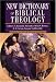 New Dictionary of Biblical Theology: Exploring the Unity & Diversity of  Scripture