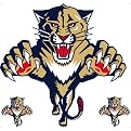 Florida Panthers Removable Logo - 24x24"