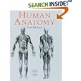 Human Anatomy for Artists