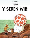 Y seren wib