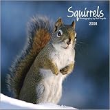 Squirrels Wall (BROWNT) - 2008 Calendar