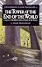 The Tower at the End of the World by Brad Strickland ISBN 0803726201