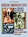 African American Stories American Lives: Vol 2
