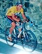 Lance Armstrong USA Cycling 8x10 Photograph Tour d
