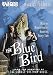Search : The Blue Bird