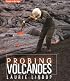 Probing Volcanoes