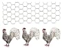 Roosters - Fresh, Original Design on a Pure Cotton Kitchen Towel